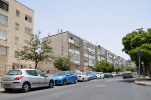 ניהול פרויקט תמ