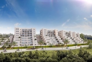 ניהול פרויקטים בבניה - קבוצת רכישה רמות הירוקה בירושלים
